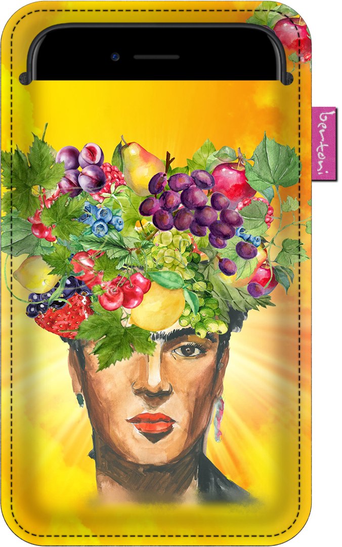 Etui na smartfon antracyt Fructa