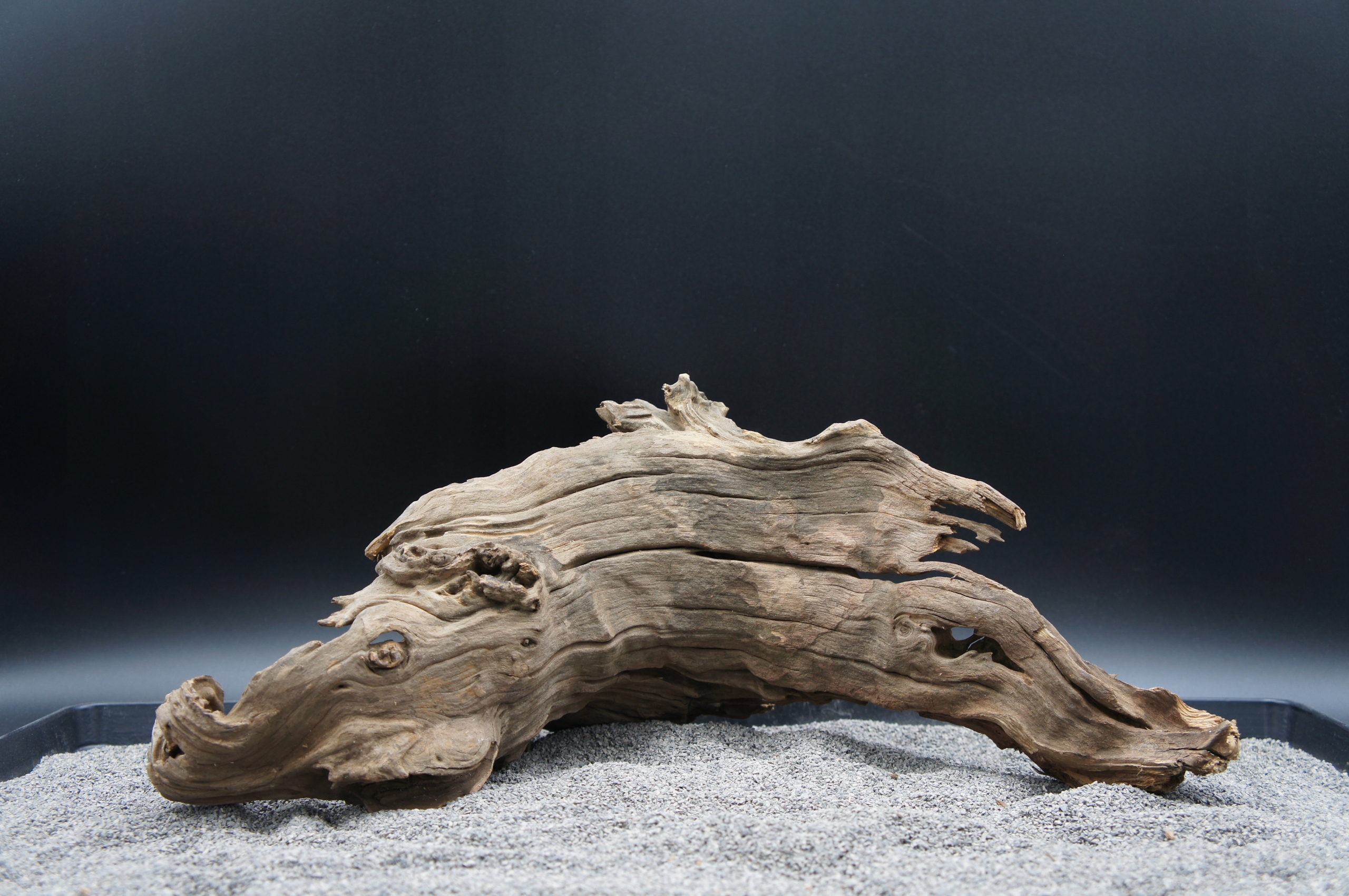 Levně Kořen do terarijního akvária jagged wood 43 cm Ten, Který Je Na Obrázku (J42)