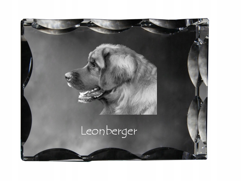 Leonberger fotografia psa v ozdobnom kryštáli, suvenír, dekorácia domu