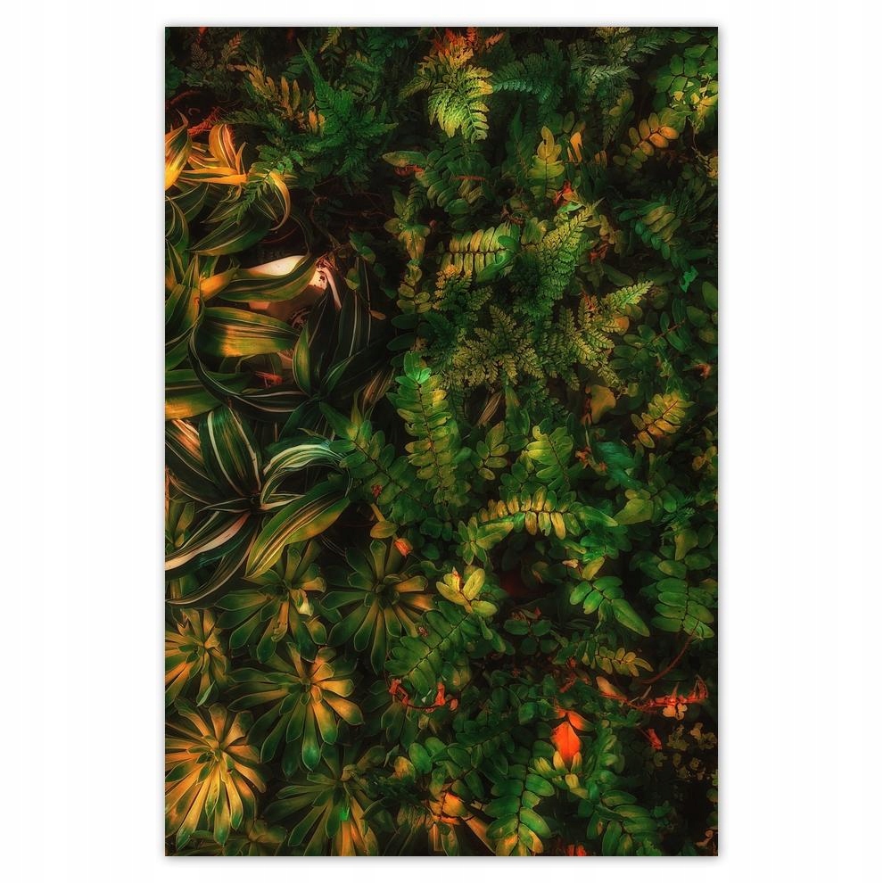

Plakaty 40x60 Tropikalne liście Listki