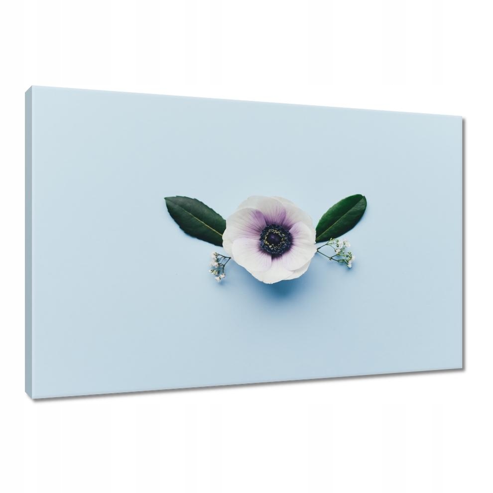 

Obrazy 90x60 Makowy kwiatek