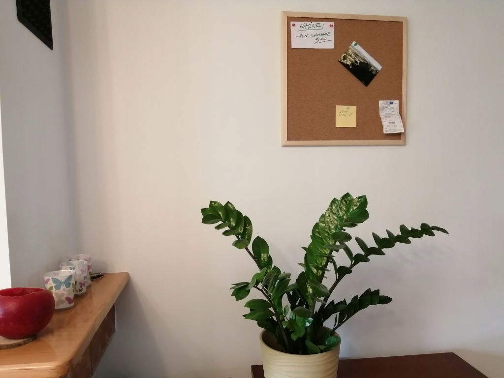 Tablica korkowa 30x30 drewno PINEZKI GRATIS !!! Kod producenta CET33