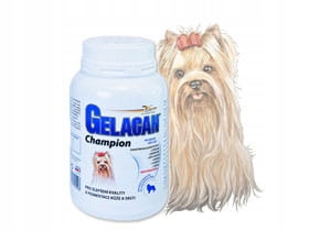 Gelacan Champion pro barevná plemena 150 g