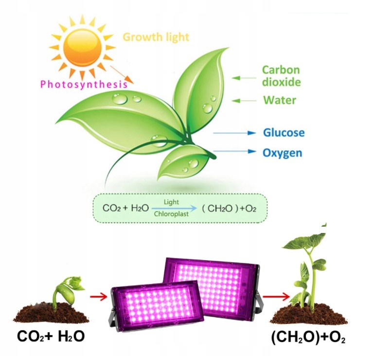 LAMPA DO WZROSTU UPRAWY ROŚLIN PANEL LED 50W Typ oświetlenia inny