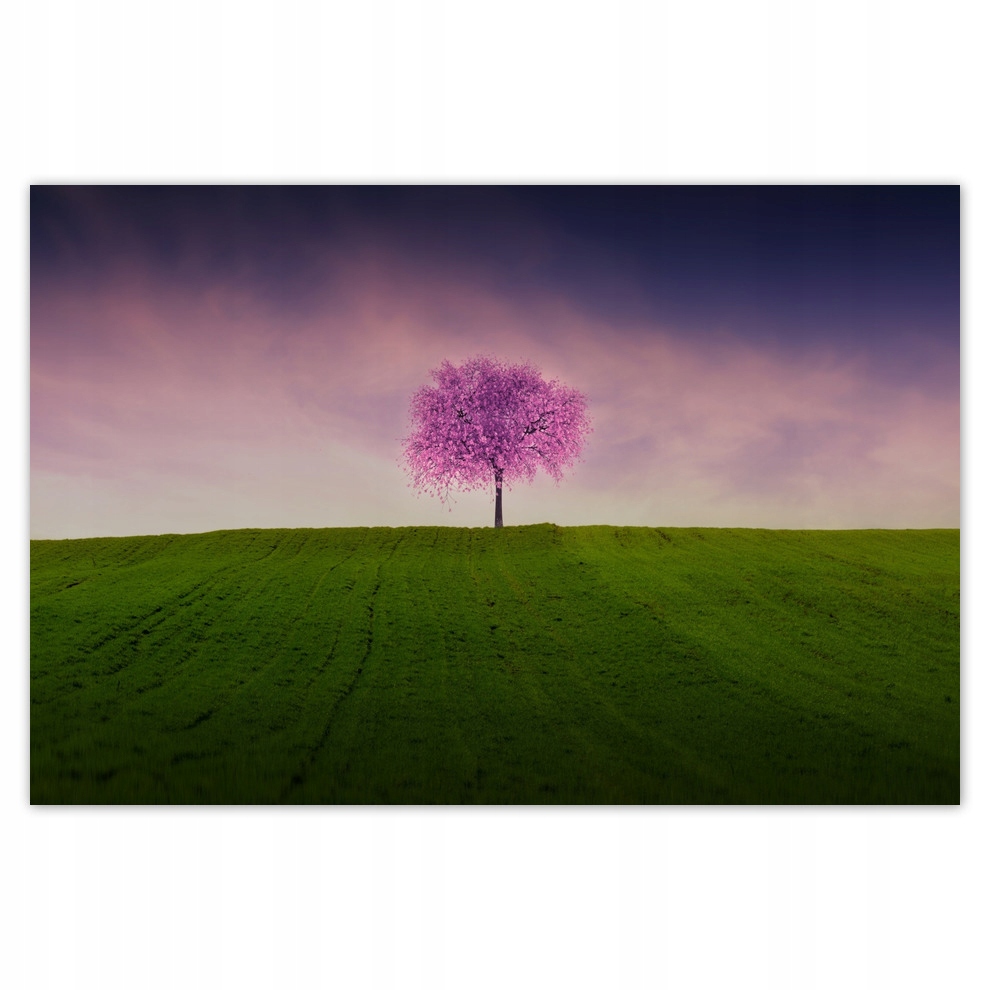 

Plakaty 93x62 Prosiaczkowe drzewko