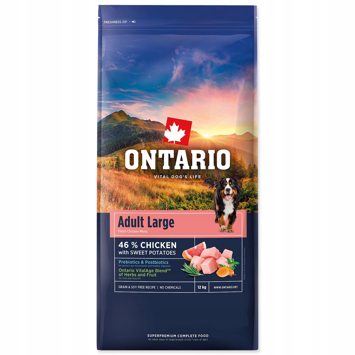 Ontario Adult Large Chicken & Sweet Potatoes 12kg karma dla dużych ras