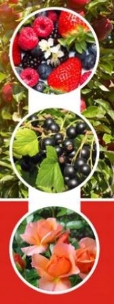 EMULPAR 940EC 1L PRZĘDZIORKI MSZYCE LARWY KLESZCZE Producent ADW