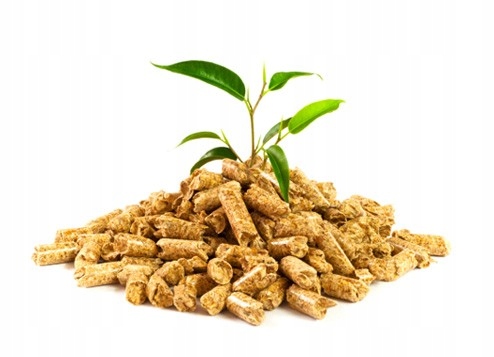 PELLET DRZEWNY PELET DREWNIANY OLIMP PALETA 975 KG 6MM A1 Typ produktu pelet