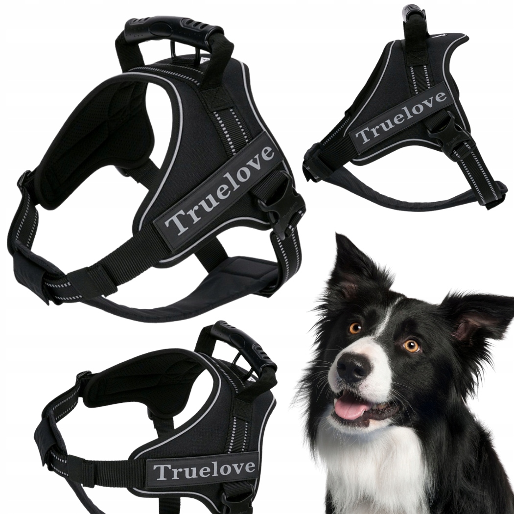 Levně Postroj Pro Psa Pracujícího S Rukojetí Truelove Outdoor Černý M