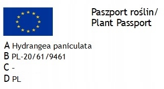 WSPANIAŁ HORTENSJA DIAMANTINO MINIATUROWA Waga produktu z opakowaniem jednostkowym 0.5 kg