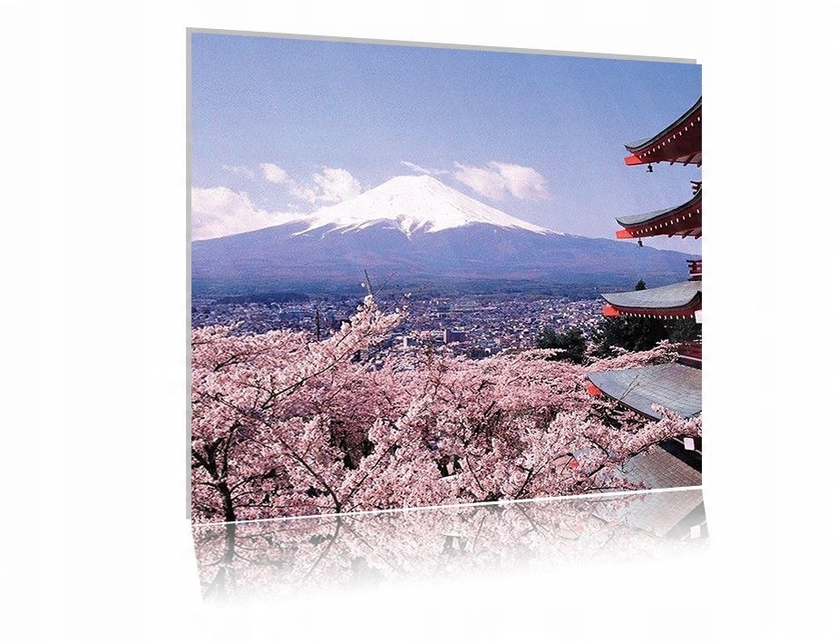 

Obraz szklany na szkle Japonia 01 50x50