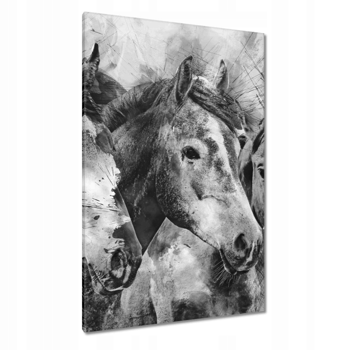 Obrazy 80x120 Koně Kůň Koně Hlavy