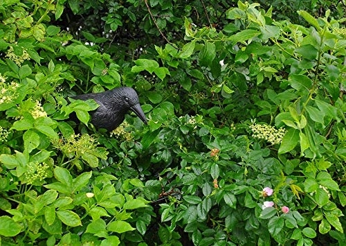 KRUK SZTUCZNY ODSTRASZACZ PTAKÓW GOŁĘBI NA BALKON Kod producenta FD1542