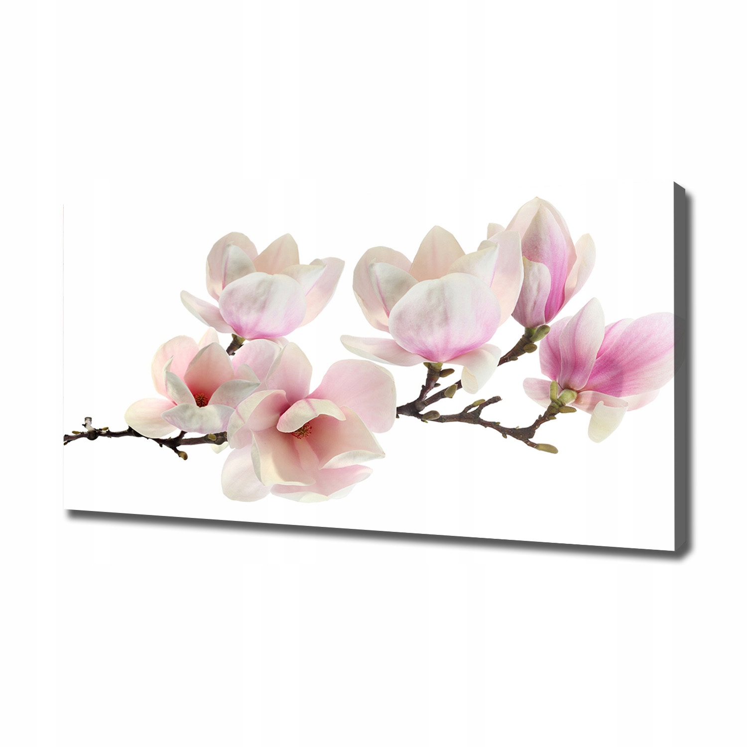 

Foto obraz canvas na ścianę Magnolia 120x60 cm