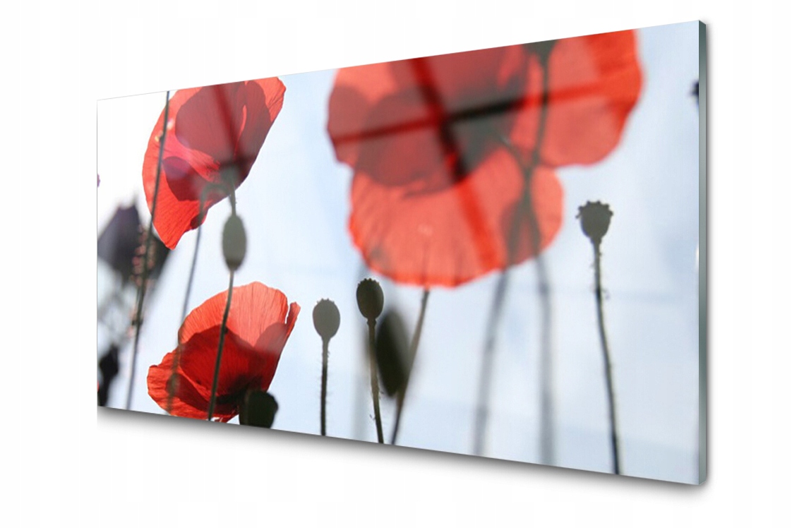 

Panel szklany dekor Maki Roślina 120x60 + Klej