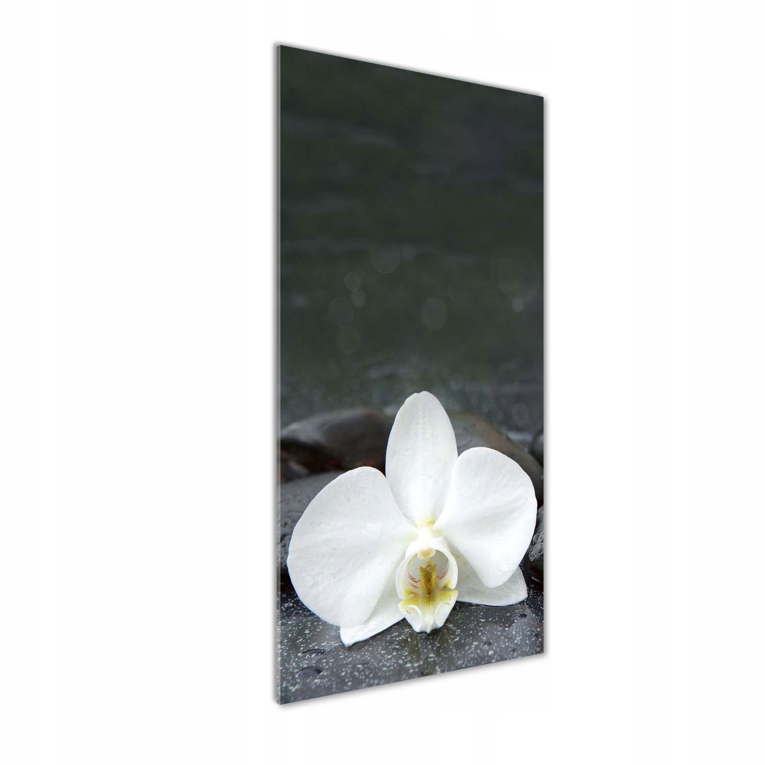 

Foto obraz na szkle Orchidea kamienie 50x125 cm