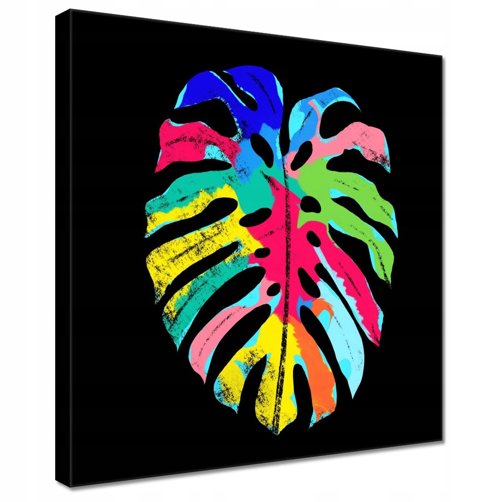 

Obrazy 30x30 Kolorowa Monstera Liść