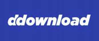 DDOWNLOAD.COM 24H KONTO PREMIUM Rodzaj serwisy hostingowe