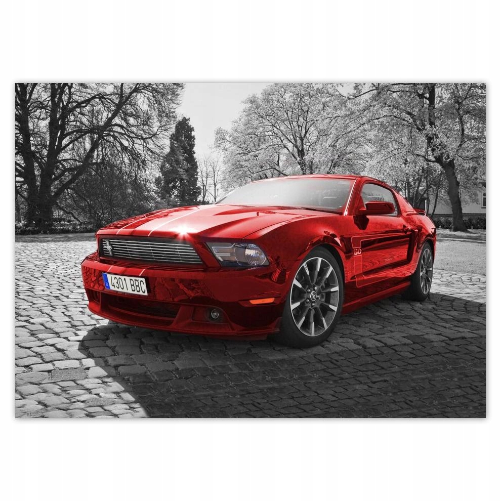 

Naklejki 70x50 Czerwony Mustang