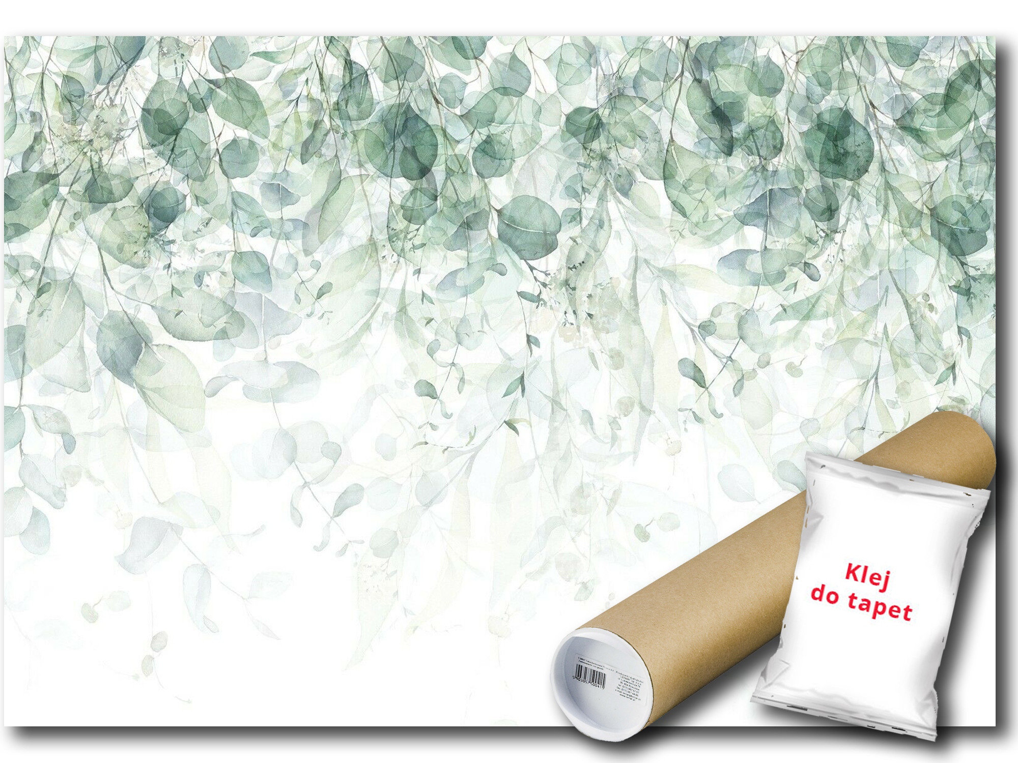 Fototapeta Vinylová Rastlina Bluszcz List 312x219