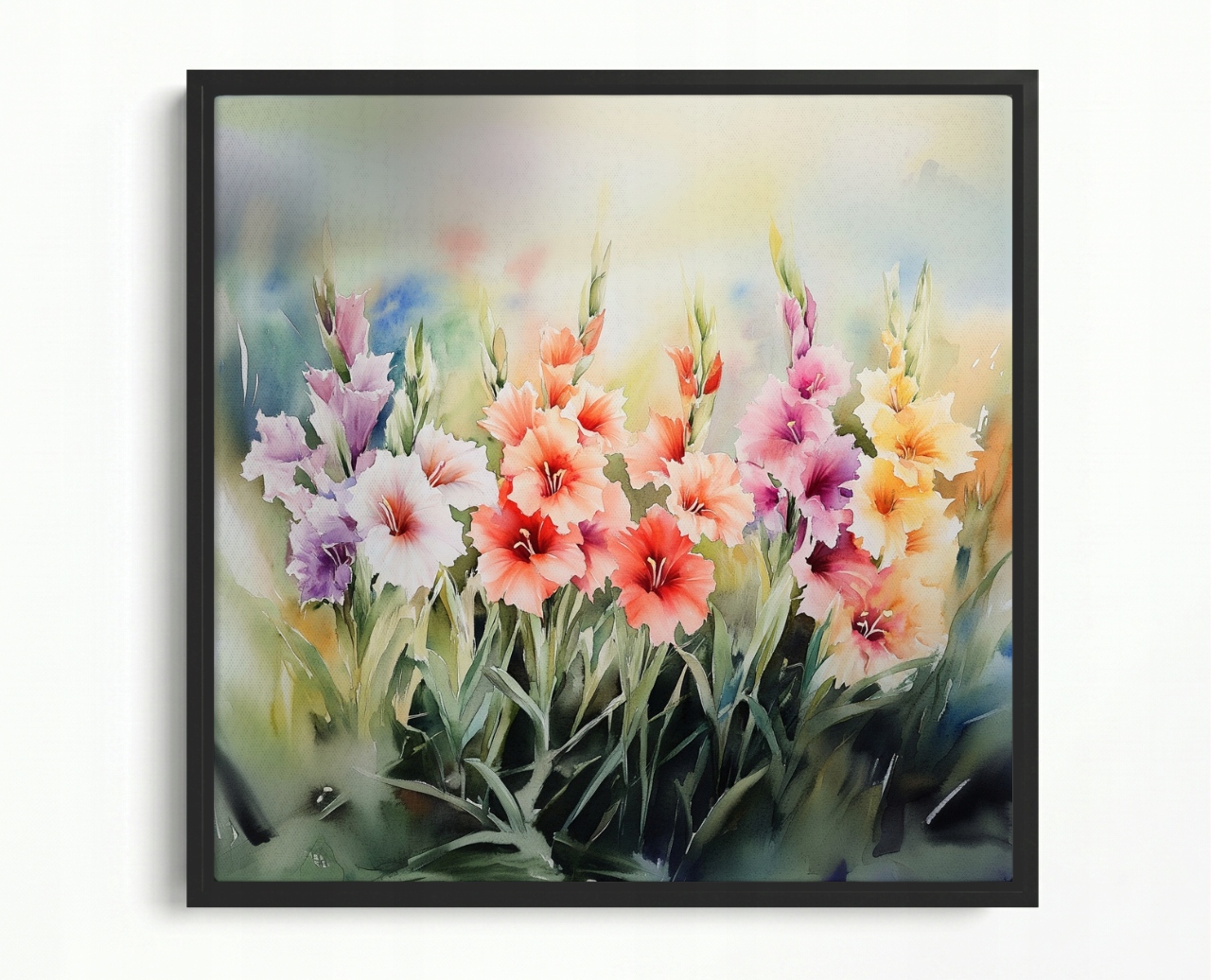 Obraz Rám Americká Krabička Příroda Zahrada Louka Květiny Gladiole Mečíky 50x50