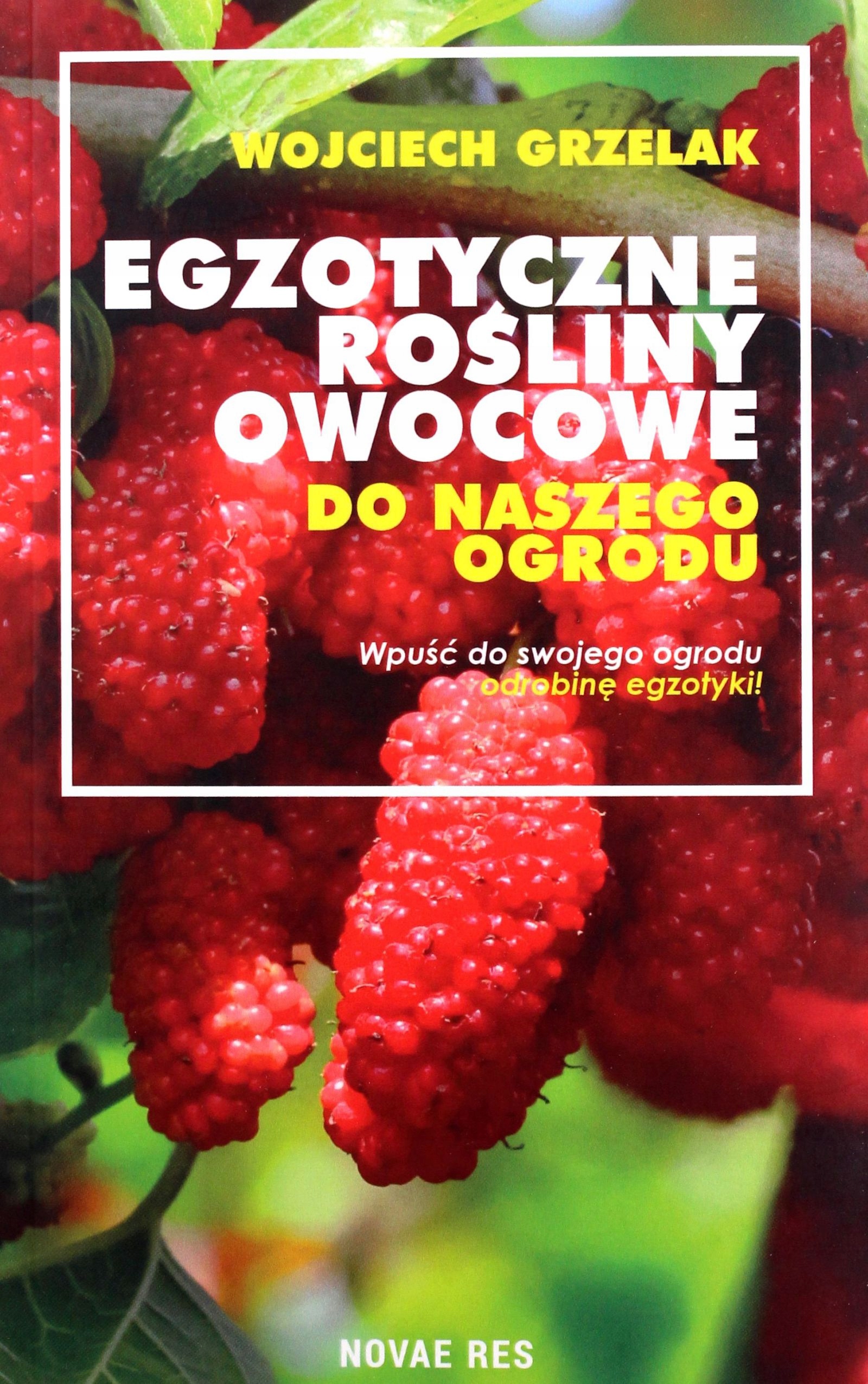 EGZOTYCZNE ROŚLINY OWOCOWE DO NASZEGO OGRODU - Woj