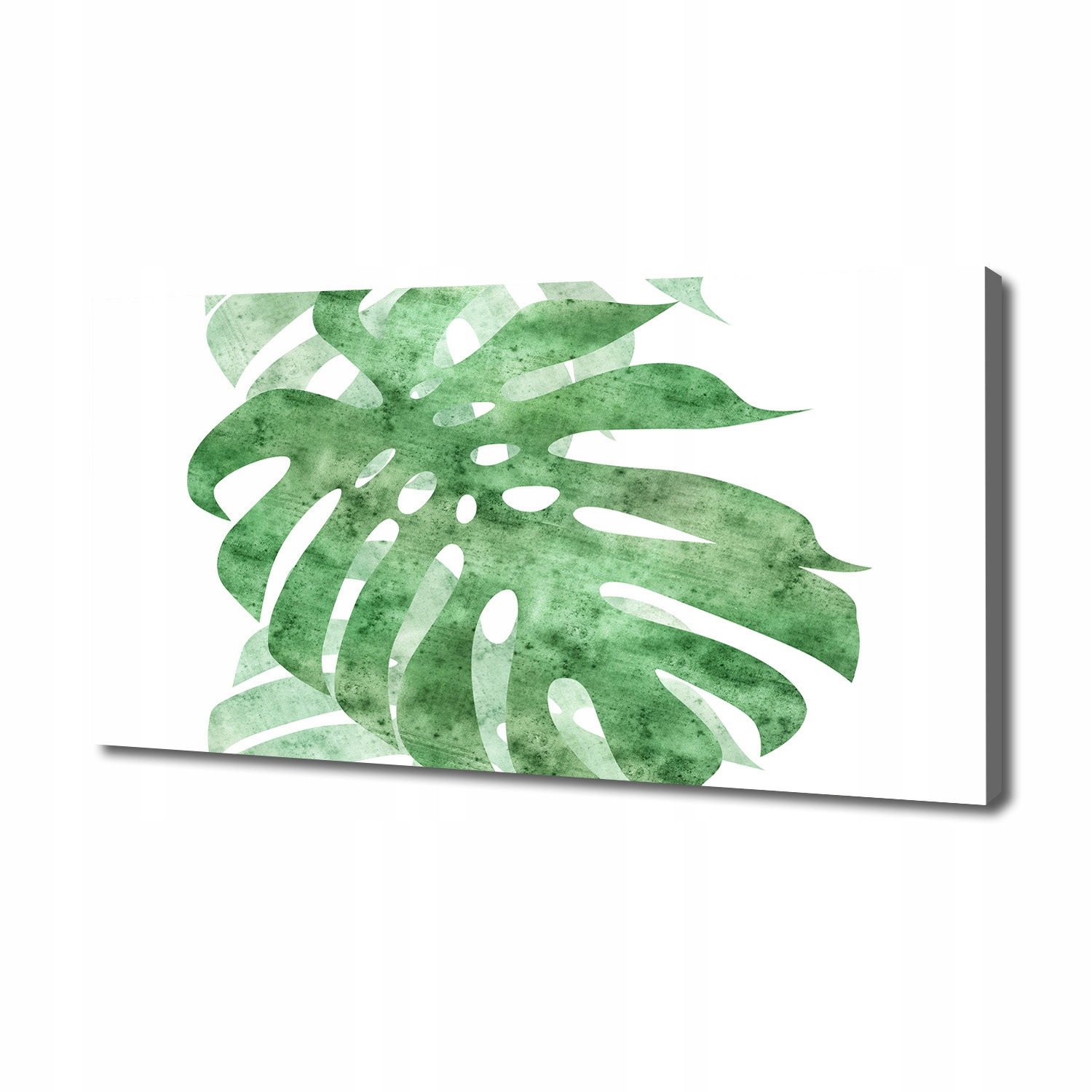 

Foto obraz canvas na ścianę Monstera 140x70 cm