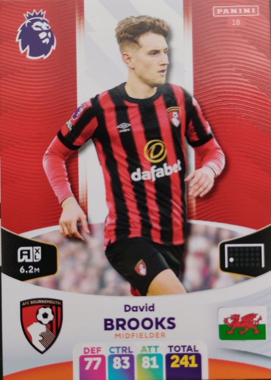Premier League 2024 Bournemouth 18 David Brooks