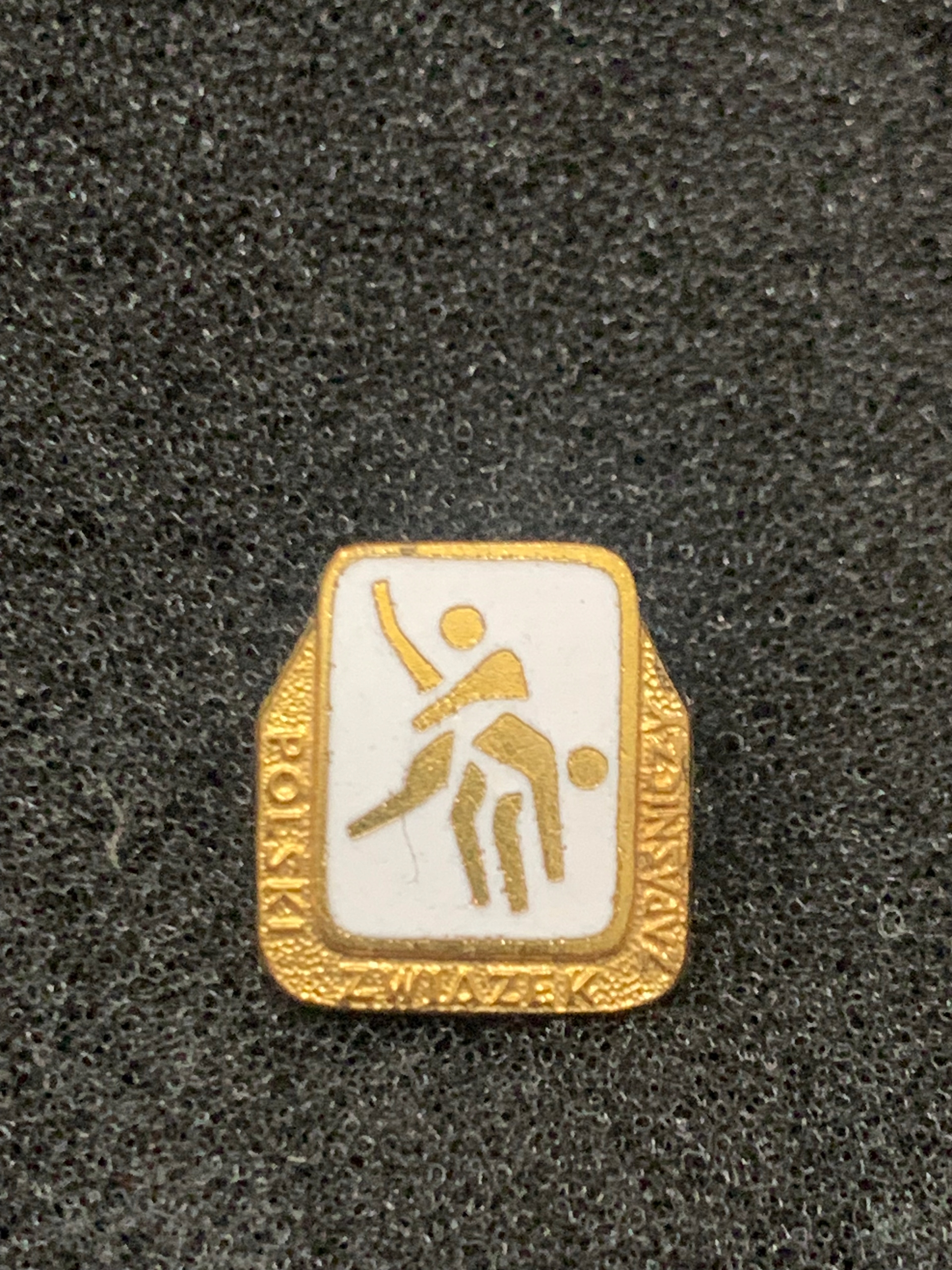 POLSKI ZWIĄZEK ZAPAŚNICZY