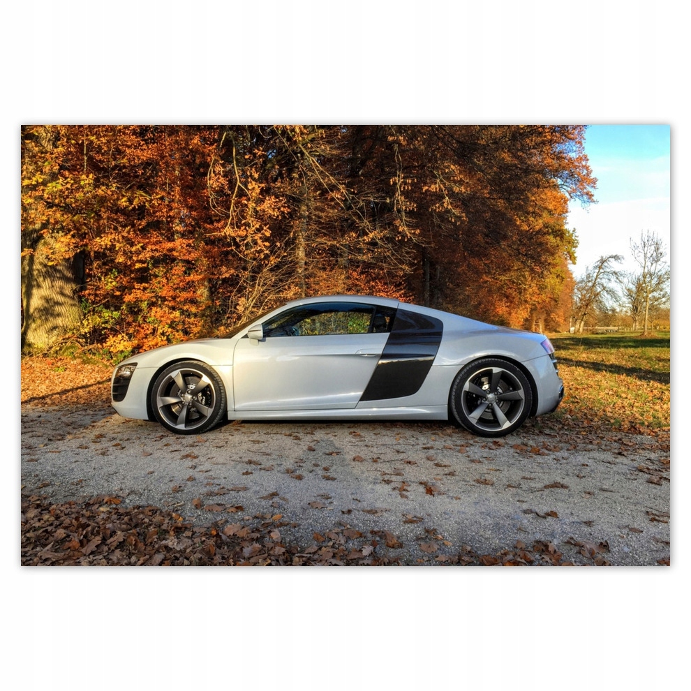 Fototapety flizelina 152x104 Bílé Audi Tt