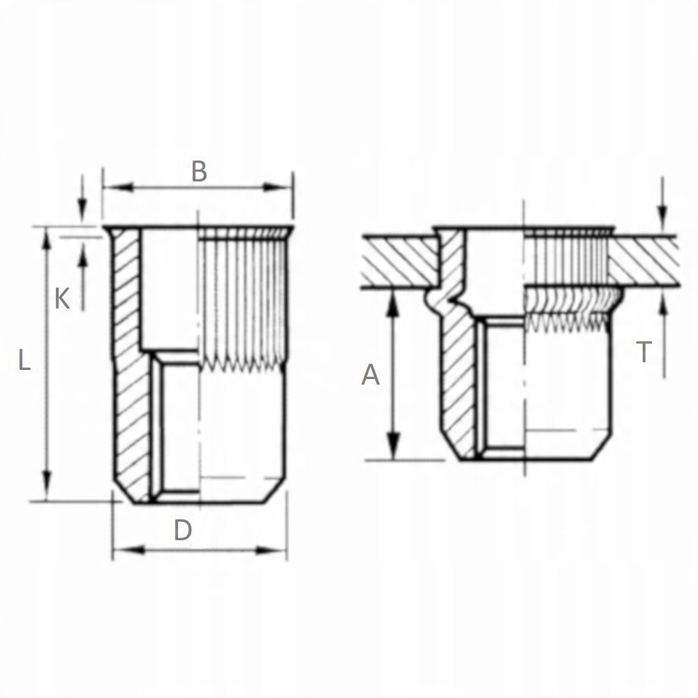 M5 ЗАКЛЕПОЧНАЯ гайка расширенная конусная оцинковка 10st Number of pieces in the package 10 pcs