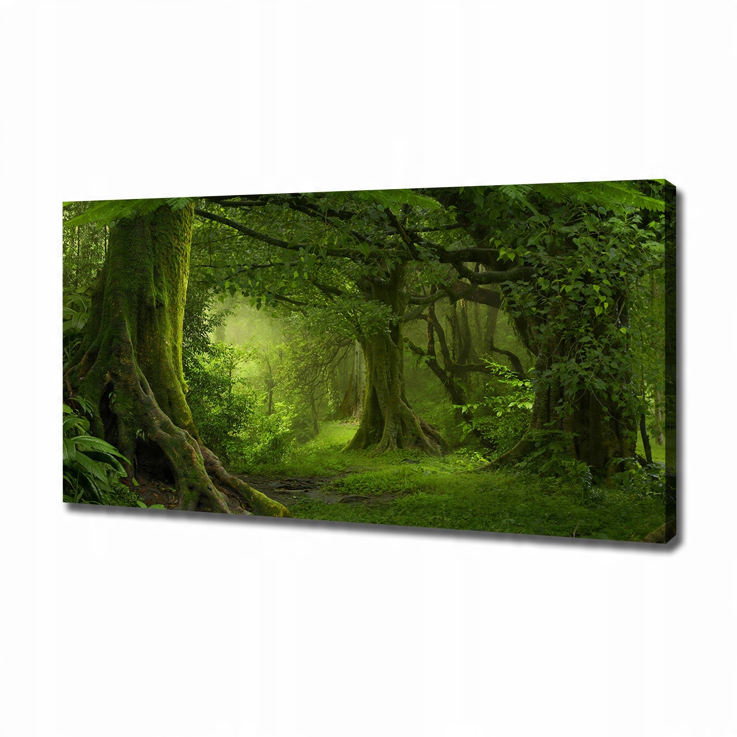 

Foto obraz na płótnie Tropikalna dżungla 120x60 cm