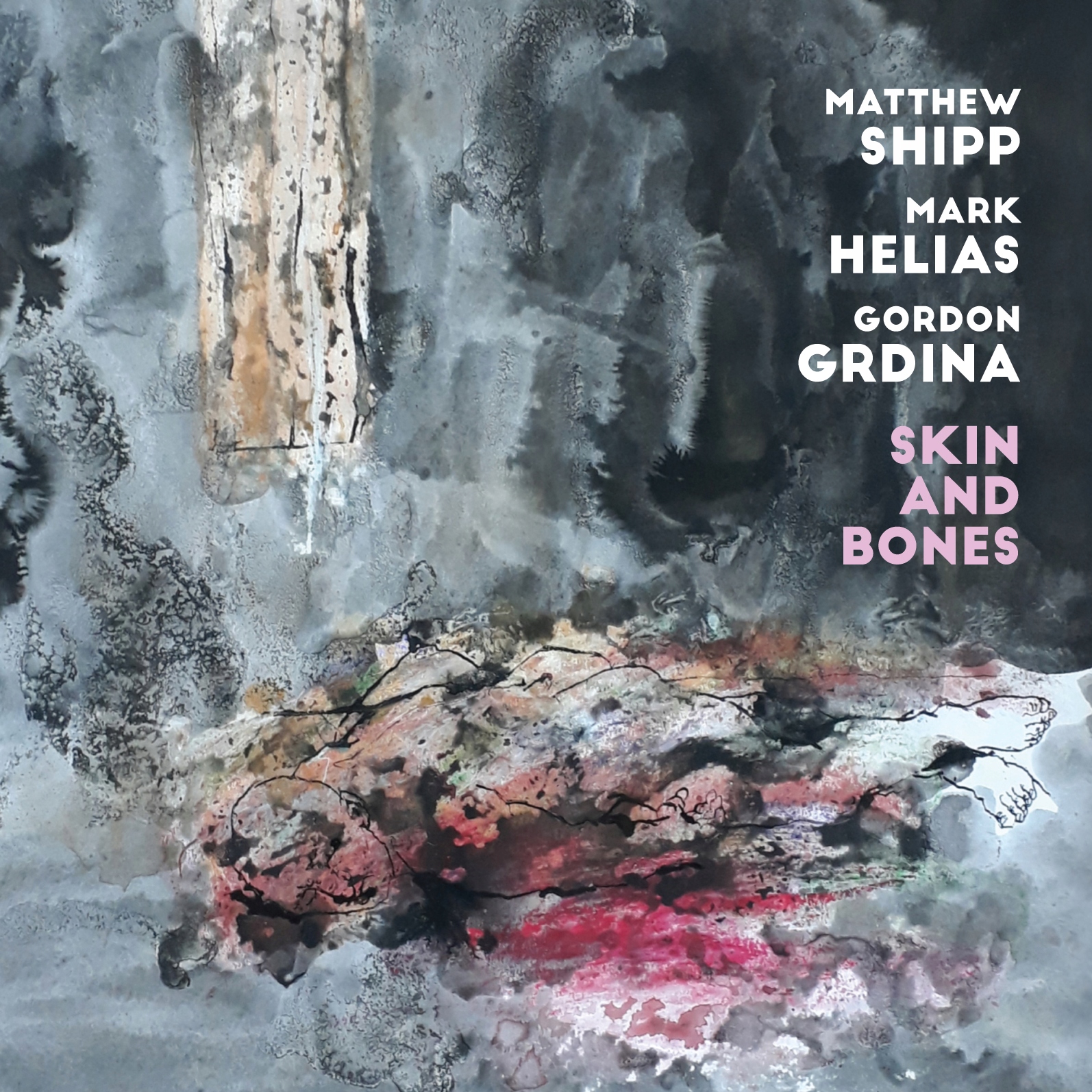 CD Matthew Shipp, Grdina, Helias Skin And Bones