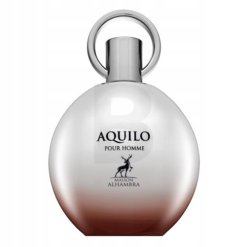 Maison Alhambra Aquilo Pour Homme parfémovaná voda pro muže 100 ml