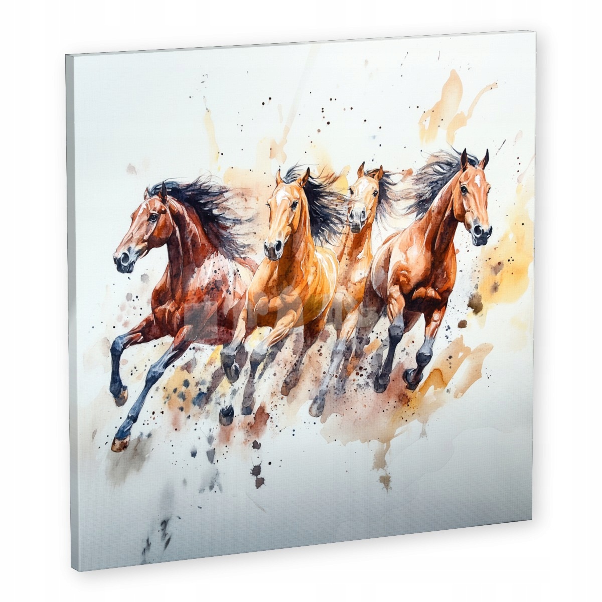 Obraz Na Plátně Canvas Koně Kůň Rumak Běh Cval Zvířata 60x60