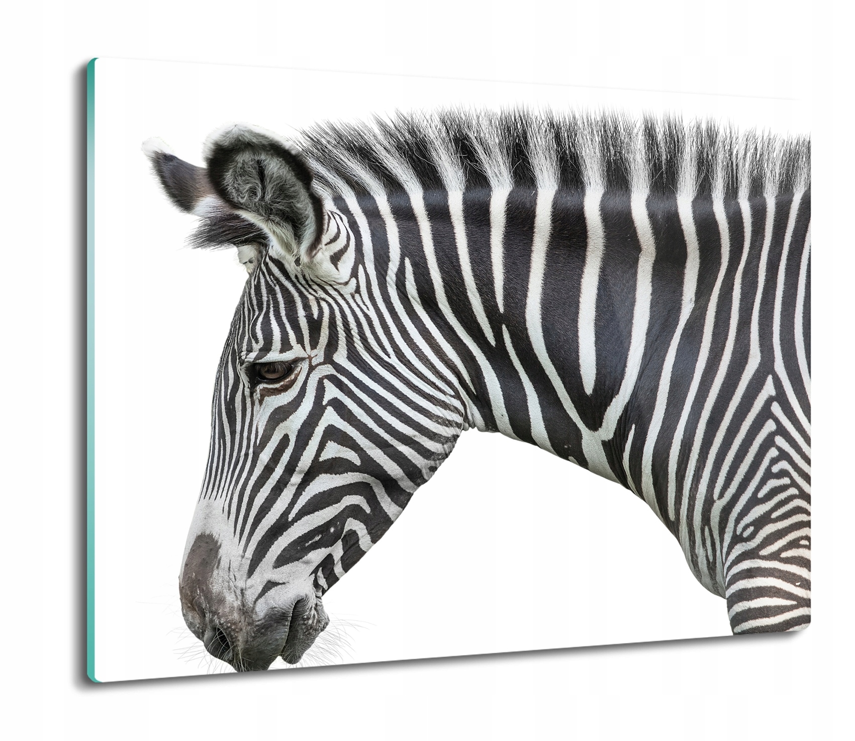 Zebra hlava pásy 60x52 deska obdélníková podložka