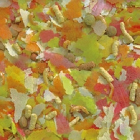 

Tropical Pond MIX Koi 1kg płatki sticks