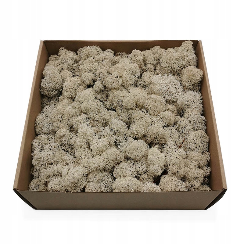 

250g netto Mech Chrobotek reniferowy Oczyszczony