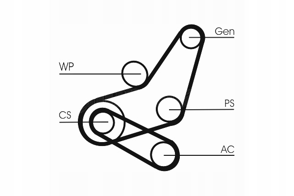 PASEK KLINOWY VOLVO C30 S40 II V50 FORD C-MAX FOCUS C-MAX FOCUS II Producent części Continental