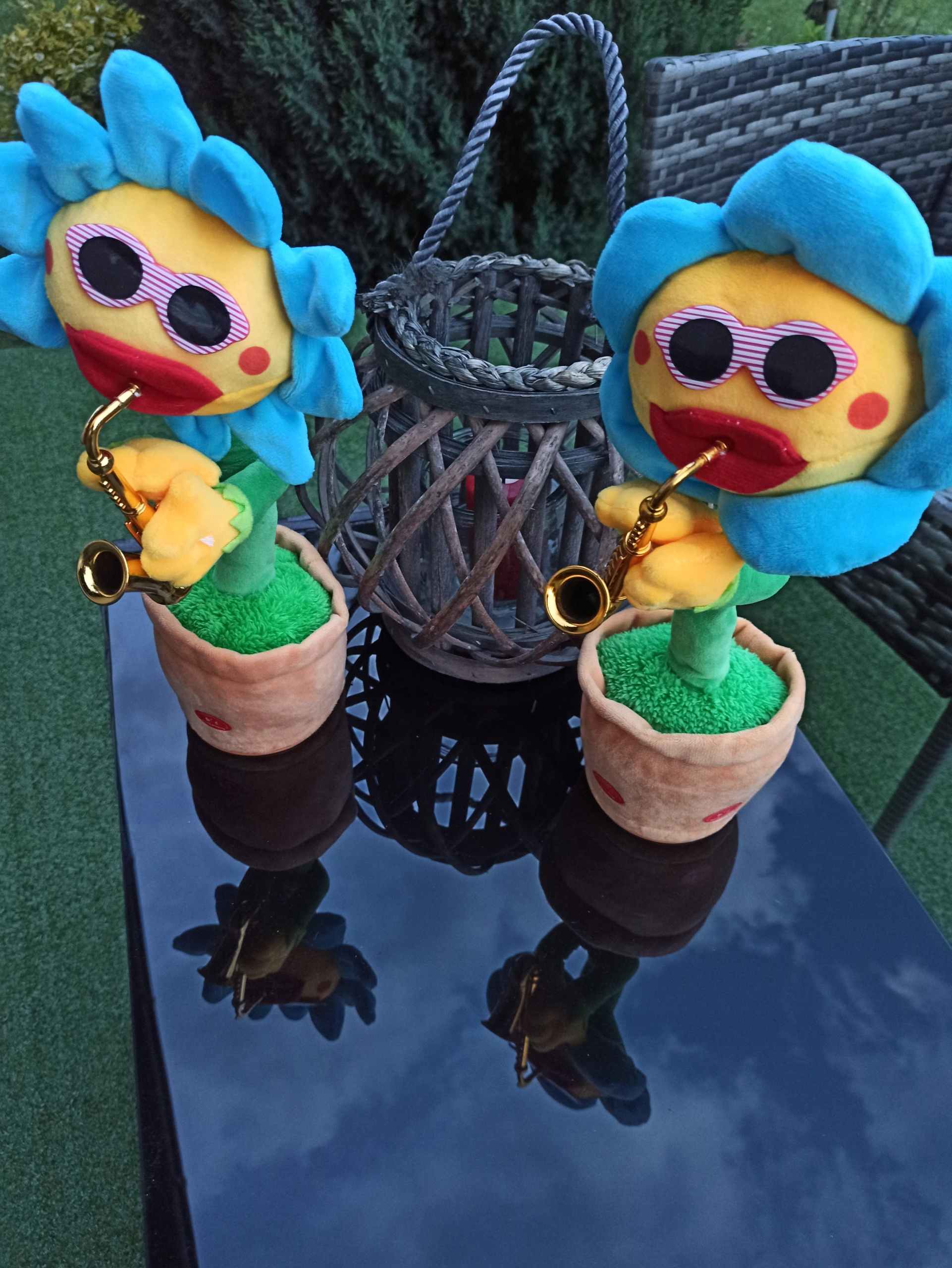 ŚPIEWAJĄCY TAŃCZĄCY KWIATEK SŁONECZNIK JAK KAKTUS Płeć unisex