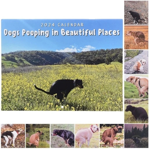 2024 Wall Calendar Funny Dogs Pooping In Beau