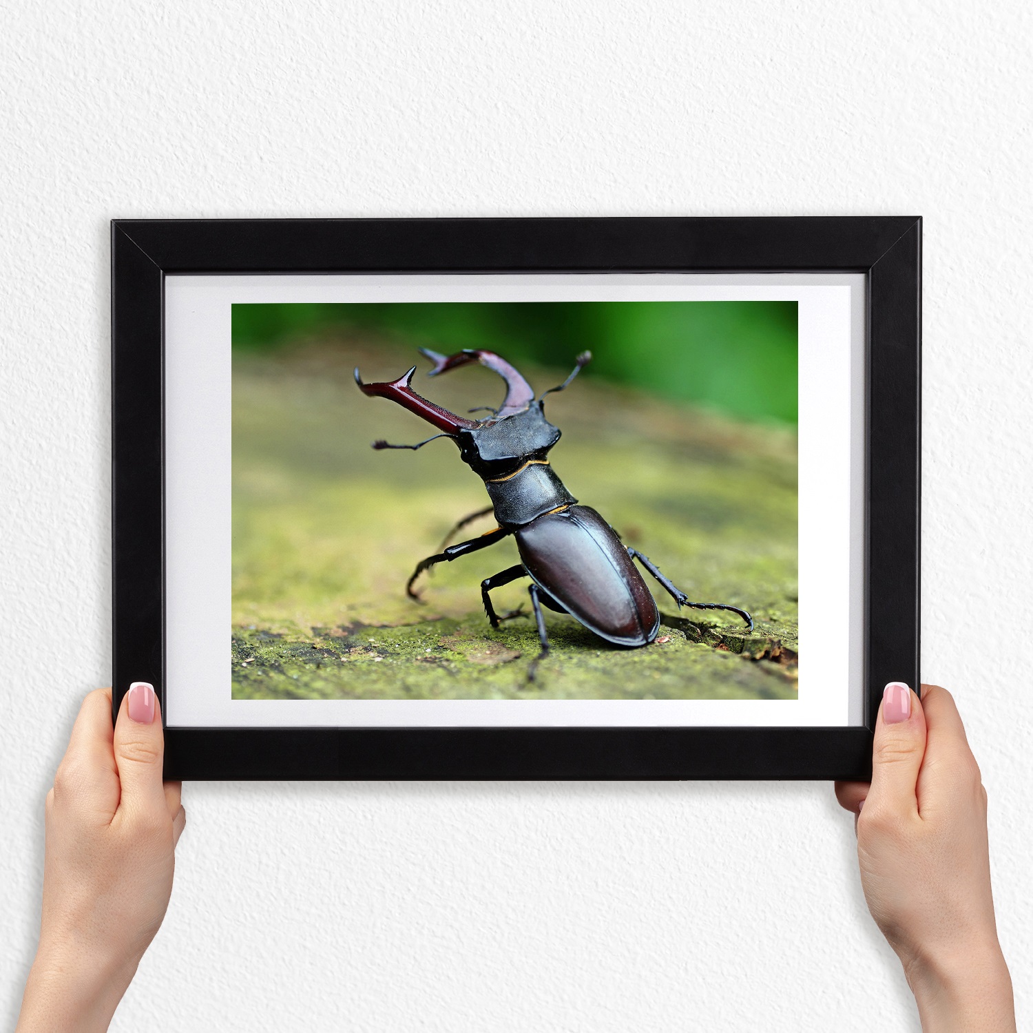 Závěsný fotoobraz s rámečkem mdf Chrobák 30x20 cm