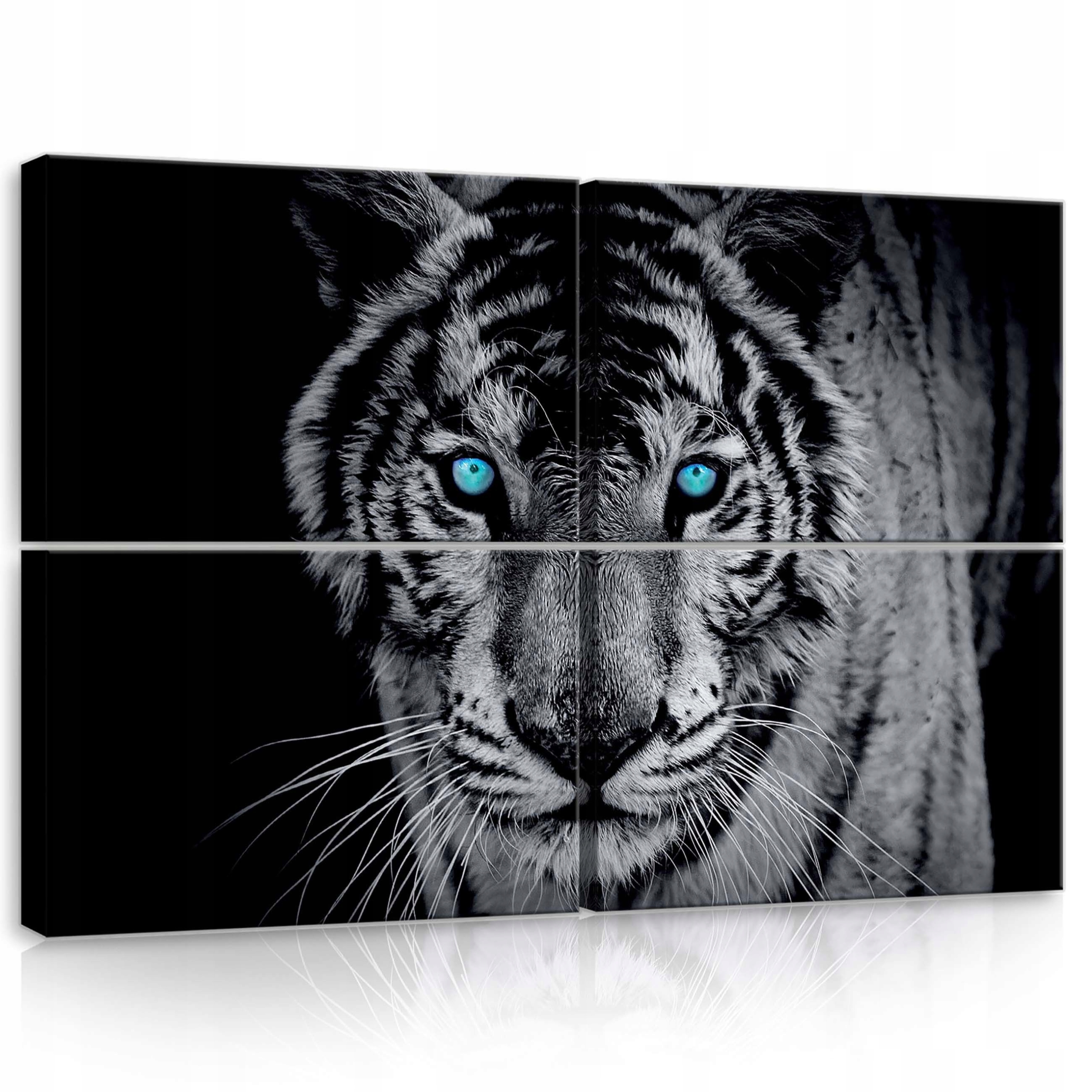 Obraz 120x80 Tiger oči tigra divoká príroda sila zvieratá animalistika