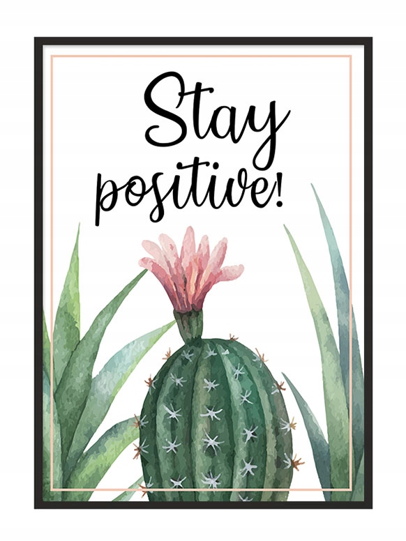 

Obraz Plakat W Ramie 43x33 cm Kaktus P719