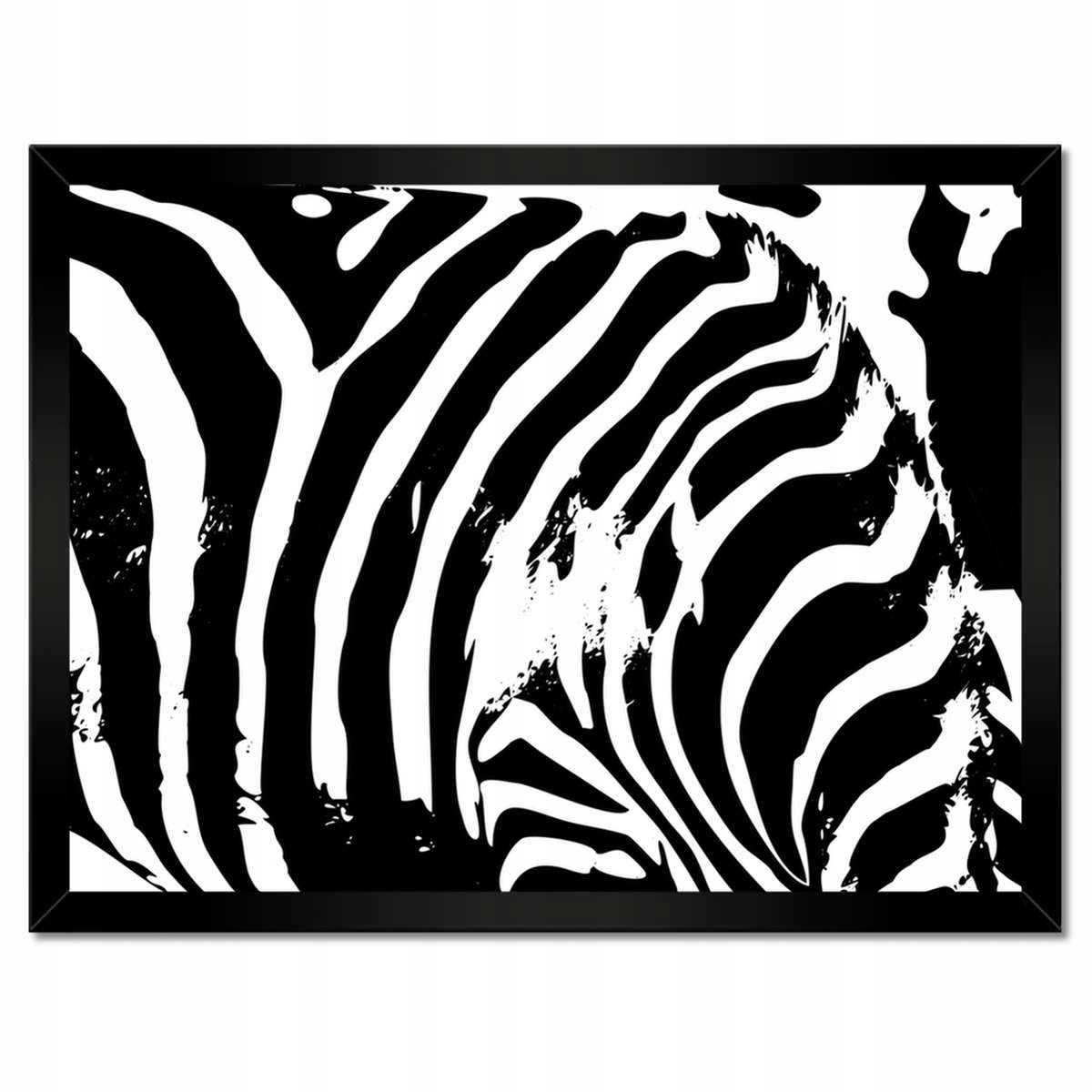 Plakáty v rámu 40x30 Zebra Pruhy Zvířátka