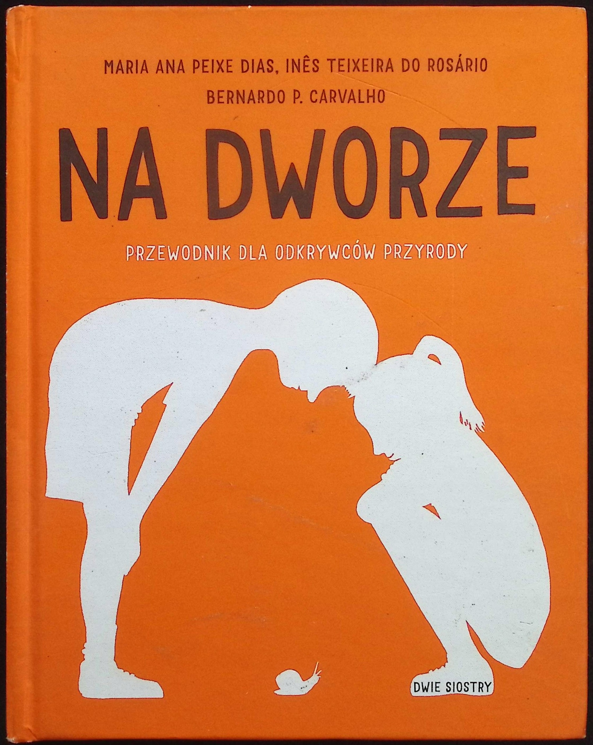 Na dworze Bernardo P. Carvalho