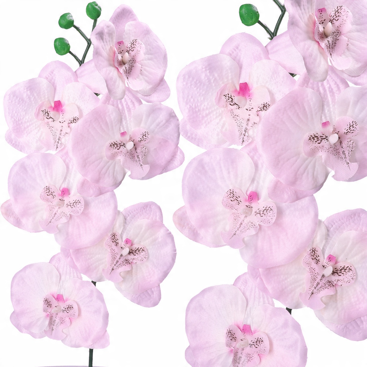 

Storczyk Orchidea Gałązka Pojedynczy Gałązki 75cm