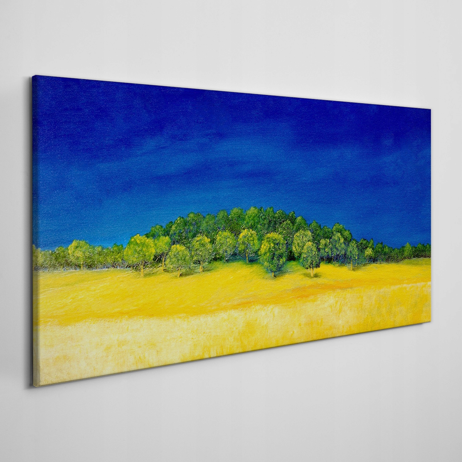 

Obraz płótno Malarstwo niebo drzewa pole 100x50 cm