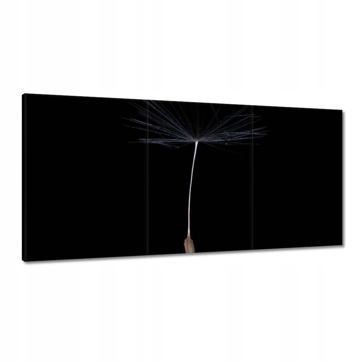 Obrazy 180x90 Púpava Kvet Kvety