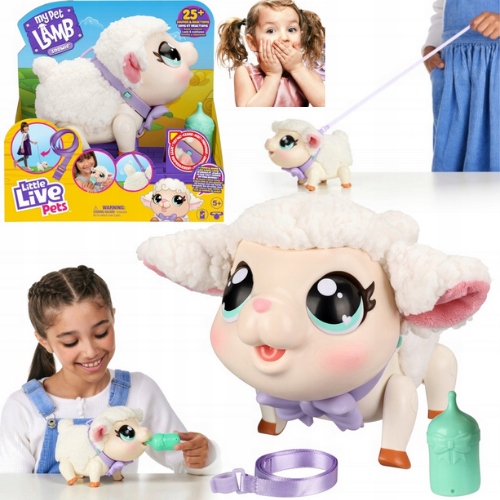 Little Live Pets - Niska cena na Allegro.pl